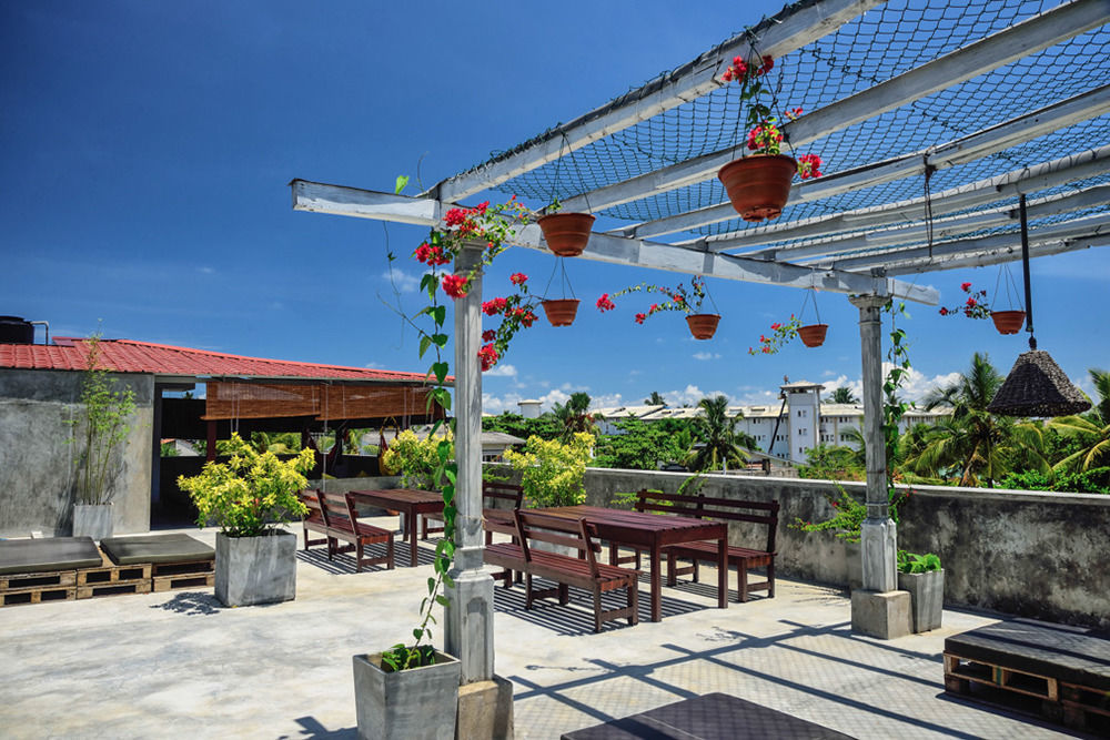 Colombo Beach Hostel マウントラビニア エクステリア 写真